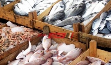 أسعار الأسماك بكافة أنواعها اليوم الأحد 16-5-2021 بأسواق المحافظات