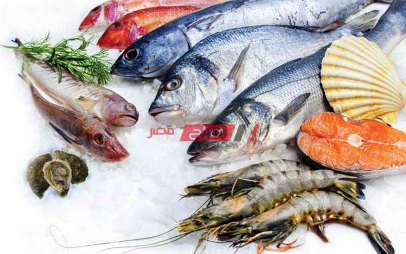 أسعار السمك اليوم الإثنين 28-6-2021 في السوق المصري
