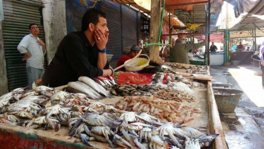 متوسط أسعار بيع كيلو الأسماك اليوم الإثنين 14-2-2022 في مصر