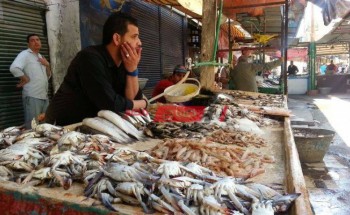 أسعار السمك لكل الأنواع في مصر اليوم الأحد 23-1-2022