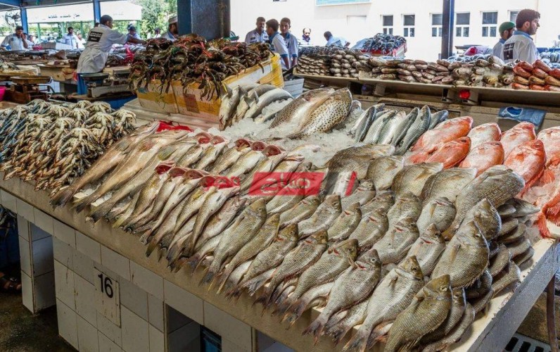 أسعار الأسماك والجمبري اليوم الأثنين 11-10-2021 في الإسكندرية