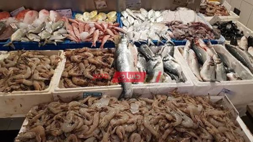 أسعار السمك اليوم السبت 24-7-2021 داخل أسواق مصر