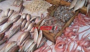 متوسط أسعار السمك لكل الأنواع بالاسواق المصريه اليوم الإثنين 20-12-2021