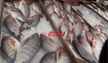 متوسط أسعار الأسماك لكل انواعها في السوق المصري اليوم الأحد 24-4-2022