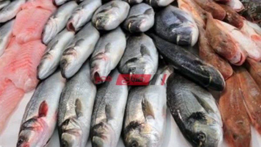 متوسط كل أسعار السمك اليوم السبت في السوق المحلي