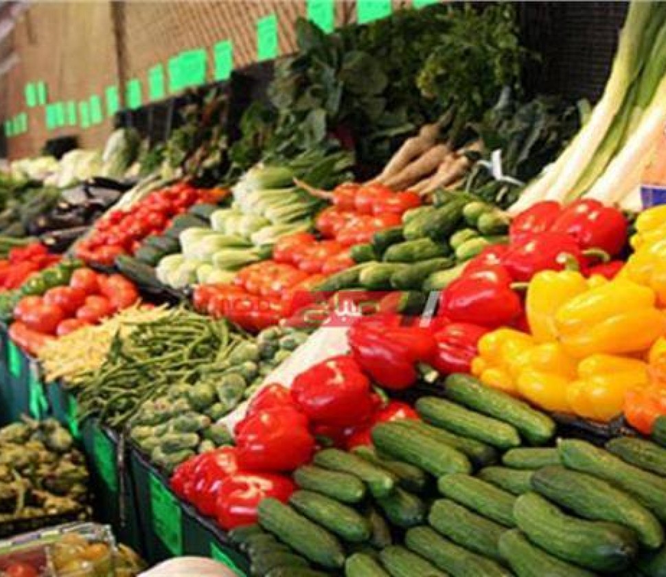 تعرف على تفاصيل أسعار الخضروات اليوم الخميس 23-3-2023 .. استقرار وثبات نسبي