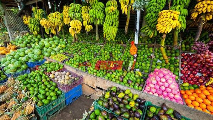 متوسط أسعار الفاكهة لكل انواعها في مصر اليوم الإثنين 23-5-2022