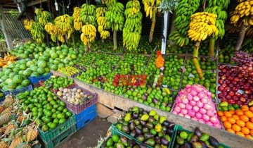 متوسط أسعار الفاكهة لكل انواعها في مصر اليوم الإثنين 23-5-2022