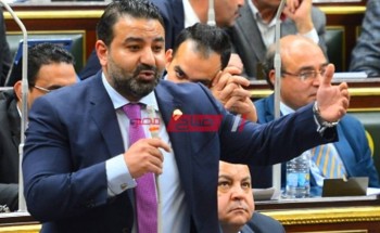 النائب محمد سلطان: وزيرة الصحة استطاعت الخروج من أزمة كورونا باحترافية