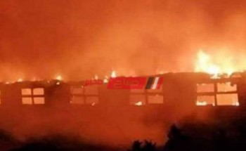 حريق هائل بمزرعة دواجن غرب الإسماعيلية يسفر عن نفوق 2000 كتكوت