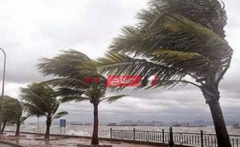 رياح شديدة وطقس غير مستقر علي الإسكندرية يوم الخميس