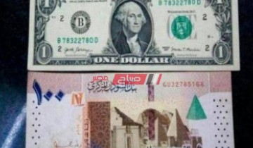 سعر الدولار اليوم الخميس 28-7-2022 بدولة السودان .. تقرير محدث