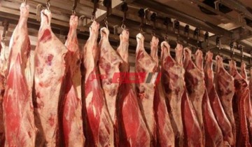مشروع إحياء لحم البتلو يسهم فى تقليص فجوة اللحوم وتقليل الواردات وتحقيق التوازن والاستقرار في سعر اللحوم