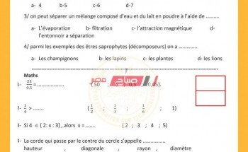 لغات فرنساوي نماذج استرشادية للصف الخامس الابتدائي الترم الأول 2021 وزارة التربية والتعليم