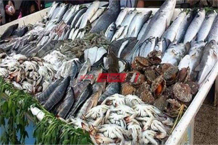 أسعار السمك اليوم الأربعاء 16-6-2021 في السوق المصري