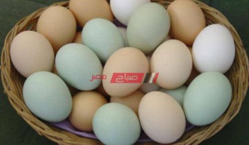 ننشر أحدث أسعار كرتونة البيض في مصر اليوم الأحد 24 أكتوبر 2021