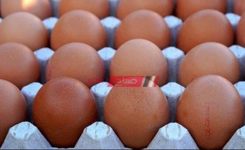 من الابيض والاحمر والبلدي تعرف على أسعار البيض لكل الأنواع اليوم السبت 13-11-2021