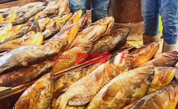 متوسط أسعار السمك اليوم الإثنين 14-3-2022 المحدثة في السوق المحلي