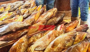متوسط أسعار السمك اليوم الإثنين 14-3-2022 المحدثة في السوق المحلي