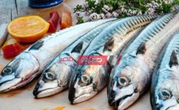 أسعار السمك في السوق المصري اليوم الأحد 17-10-2021