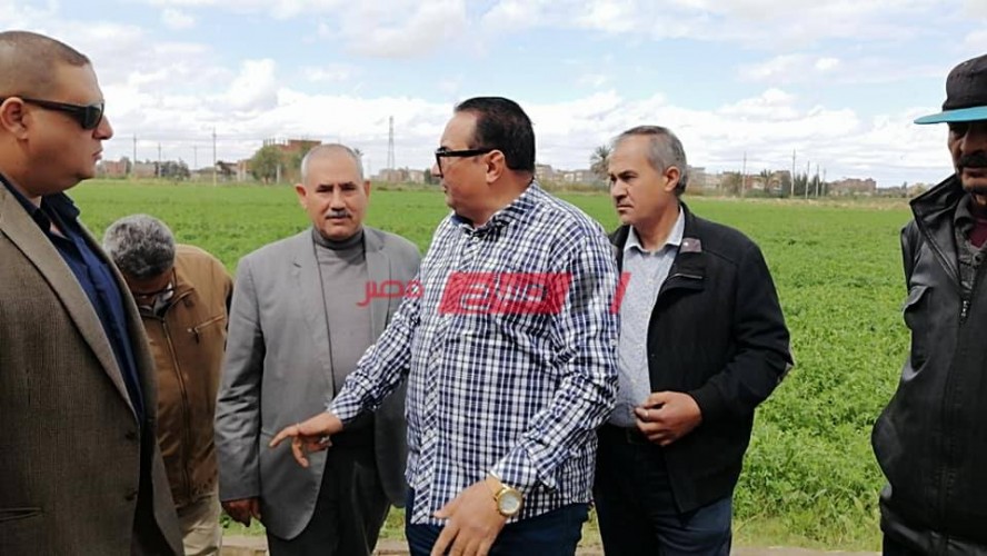 وكيل الزراعة بدمياط يتفقد حقل المجلس الزراعي في كفر سعد