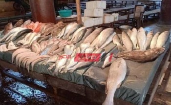 تحديث- سعر السمك والجمبري اليوم الأربعاء 17-3-2021 في الإسكندرية