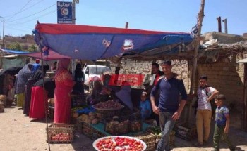 فض الأسواق العشوائية بحي العامرية في الإسكندرية