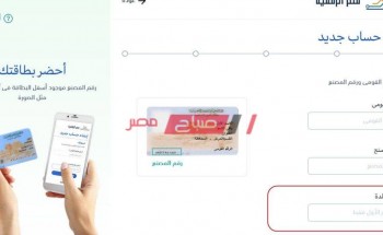 رابط موقع بوابة مصر الرقمية لتسجيل بيانات المواليد الجدد 2021