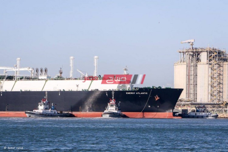 ارتفاع رصيد القمح في مخازن ميناء دمياط إلى 104 ألف طن