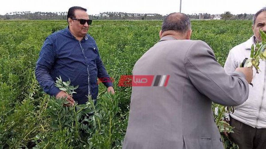 مديرية الزراعة بدمياط تطلق مبادرة لتجميع الألبان بنطاق المحافظة