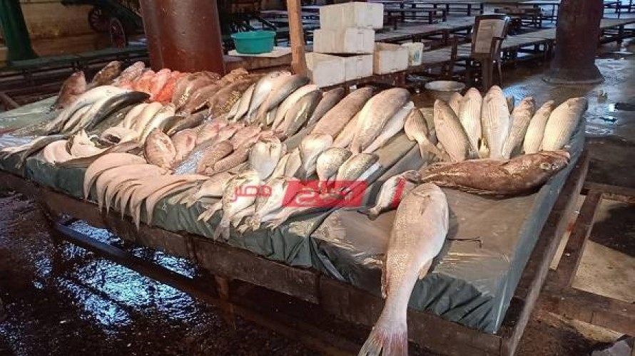 أسعار الأسماك اليوم السبت 2-10-2021 في محافظة الإسكندرية