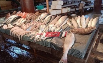 أسعار الأسماك اليوم السبت 2-10-2021 في محافظة الإسكندرية