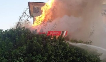 بالصورة نشوب حريق هائل في مشتل بمدينة رأس البر