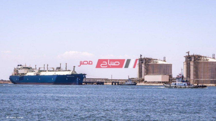 تصدير 60 ألف طن غاز مسال إلى الصين عبر ميناء دمياط من خلال الناقلة SERI BALQIS