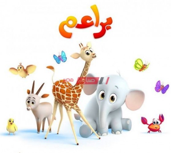 التردد الجديد لقناة براعم Baraem TV للأطفال عبر النايل سات لمتابعة أجدد البرامج الحصرية