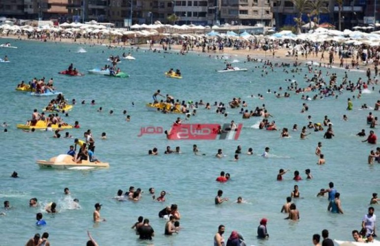 استمرار ارتفاع موج البحر في بعض شواطئ الإسكندرية بسبب نشاط الرياح