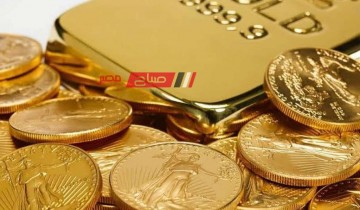 ذهب ولا شهادات .. ما هي افضل الاستثمارات المالية في مصر لعام 2024