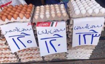 إنهيار أسعار البيض في أسواق دمياط .. تعرف على أحدثها