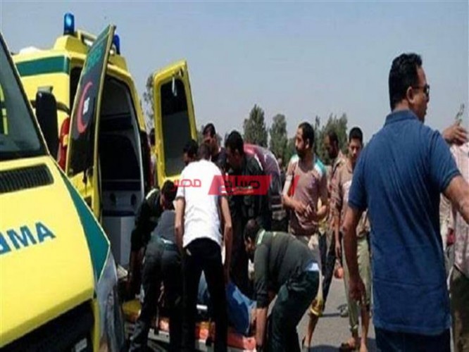 تفاصيل إصابة 5 مواطنين في حادث تصادم 4 سيارات بسيارة نقل بمحافظة الإسكندرية