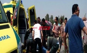تفاصيل إصابة 5 مواطنين في حادث تصادم 4 سيارات بسيارة نقل بمحافظة الإسكندرية