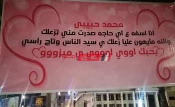 تعمير دمياط الجديدة يزيل لافتة “أنا آسفه يا محمد”
