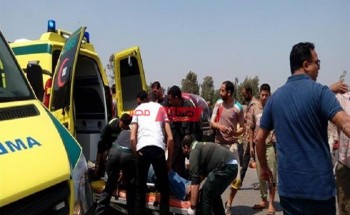 وفاة مواطن وإصابة 7 آخرين إثر حادث مروري على طريق الواحات الصحراوي خلال 24 ساعة