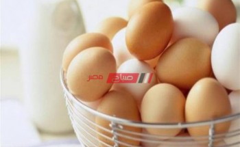 أسعار البيض المحدثة لكل الأنواع في مصر اليوم الخميس 30-12-2021