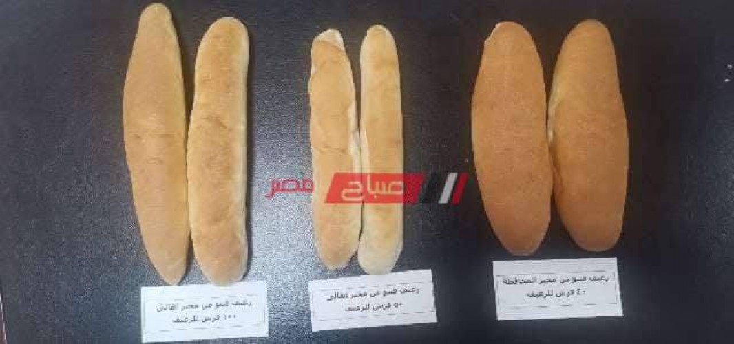 لمحاربة الغلاء.. غراب يُعلن عن طرح رغيف خبز فينو بسعر 40 قرش للمواطن