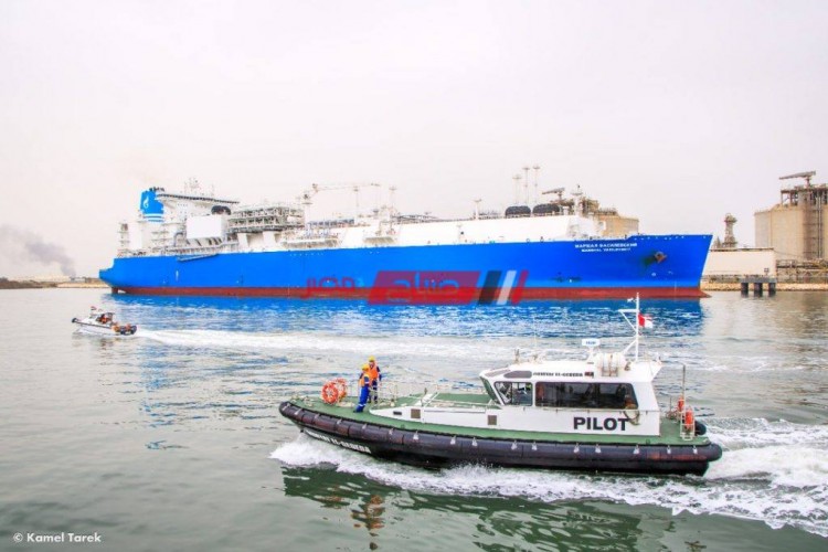 تداول 27 سفينة عبر ميناء دمياط وتصدير 72 الف طن من الغاز المسال