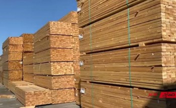 أسعار الخشب لكافة الأنواع في السوق المصري اليوم الثلاثاء 7-12-2021