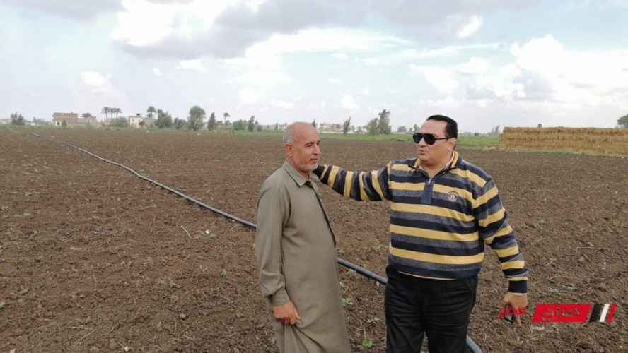 وكيل وزارة الزراعة بدمياط يتفقد زراعات الكتان والبطاطس بمركز كفر سعد