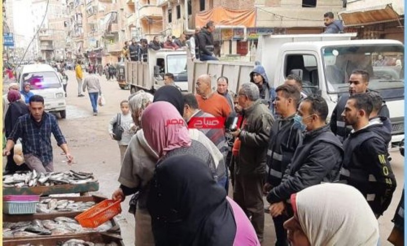 حملات إزالة إشغالات مكبرة بجميع أحياء الإسكندرية