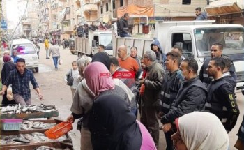 حملات إزالة إشغالات مكبرة بجميع أحياء الإسكندرية