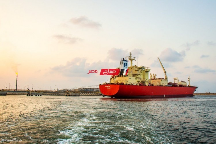 ميناء دمياط يستقبل أول سفينة غاز بوتاجاز تدشيناً لخط طنطا